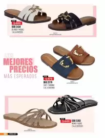 Catálogo Cklass Página 194