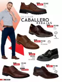 Catálogo Cklass Página 204