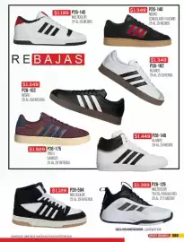 Catálogo Cklass Página 388