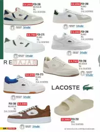 Catálogo Cklass Página 391