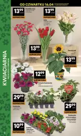 Delikatesy Centrum gazetka tydzień 16 Strona 10