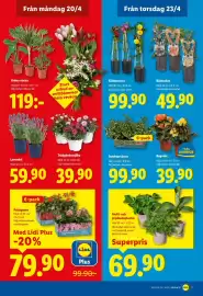 Lidl reklamblad vecka 17 Sida 19