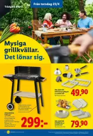 Lidl reklamblad vecka 17 Sida 23