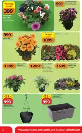 Auchan akciós újság Oldal 2