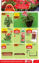 Auchan akciós újság Oldal 3