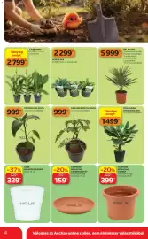 Auchan akciós újság Oldal 4