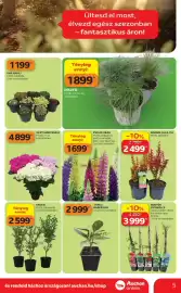 Auchan akciós újság Oldal 5
