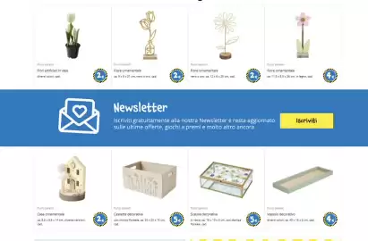 Volantino Tedi Pagina 1