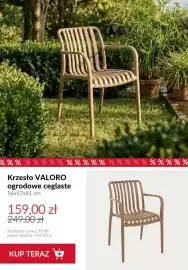 Homla gazetka tydzień 16 Strona 2