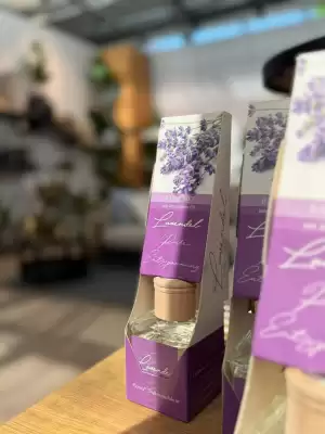 Bellaflora Flugblatt (gültig bis 19-04)