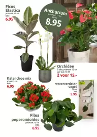 Deka Tuin folder Pagina 3