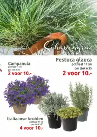 Deka Tuin folder Pagina 7