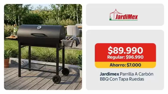 Lider (válido hasta 20-04)