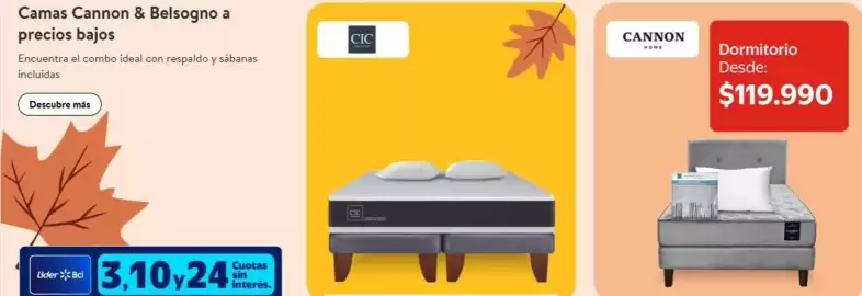 Catálogo Lider Express semana 16 Página 6