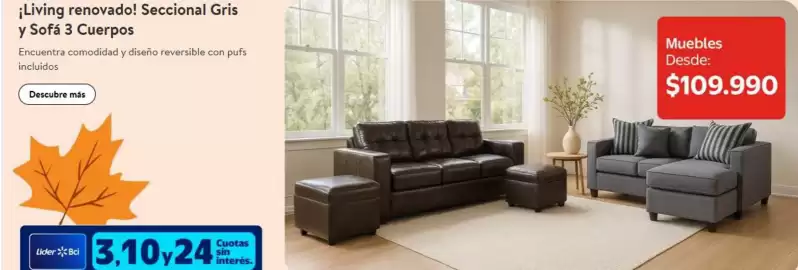 Catálogo Lider Express semana 16 Página 7