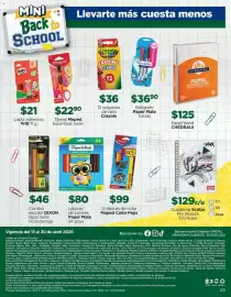 Folleto Chedraui Página 16