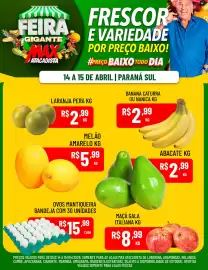 Encarte Max Atacadista Página 2