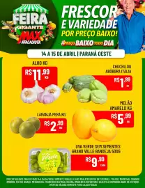 Encarte Max Atacadista Página 3