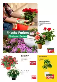 BayWa Prospekt Seite 2