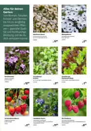 BayWa Prospekt Seite 3