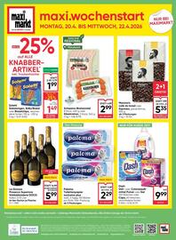 Maximarkt Flugblatt woche 16 Seite 24