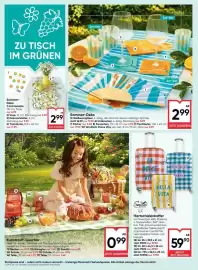 Maximarkt Flugblatt woche 16 Seite 20