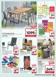 Maximarkt Flugblatt woche 16 Seite 21