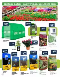 Mrówka gazetka Strona 2