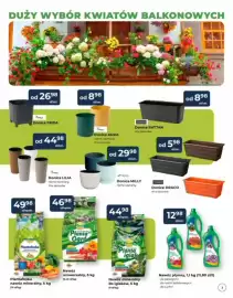 Mrówka gazetka Strona 3