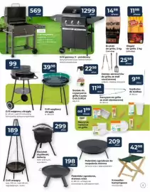 Mrówka gazetka Strona 5