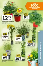 Auchan gazetka tydzień 16 Strona 7