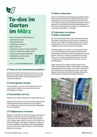 Lagerhaus Flugblatt Seite 2