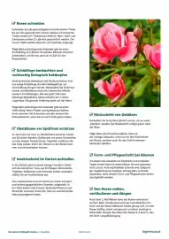 Lagerhaus Flugblatt Seite 5