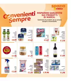 Volantino Spazio Conad Pagina 17