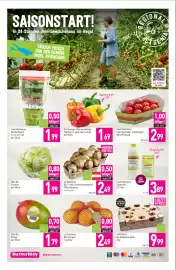 Sutterlüty Flugblatt woche 16 Seite 12