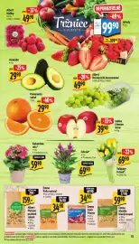 Albert leták | Supermarket Strana 17