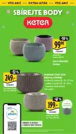 Albert leták | Supermarket Strana 42