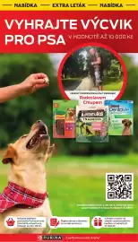 Albert leták | Supermarket Strana 9