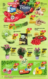 Albert leták týden 16 Strana 10