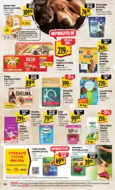 Albert leták týden 16 Strana 32