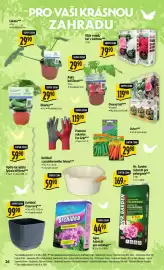 Albert leták týden 16 Strana 34