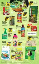 Albert leták týden 16 Strana 35