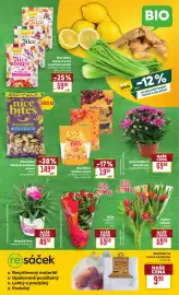 Billa leták týden 16 Strana 3