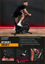 Hammer Prospekt Seite 5