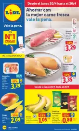 Catálogo Lidl semana 17 Página 1