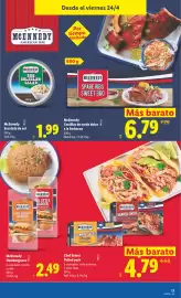 Catálogo Lidl semana 17 Página 29