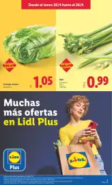 Catálogo Lidl semana 17 Página 3
