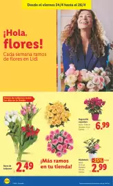 Catálogo Lidl semana 17 Página 46