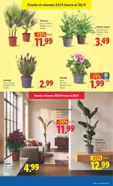 Catálogo Lidl semana 17 Página 47
