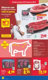 Catálogo Lidl semana 17 Página 8
